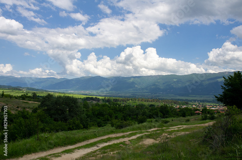 landscape in the summer