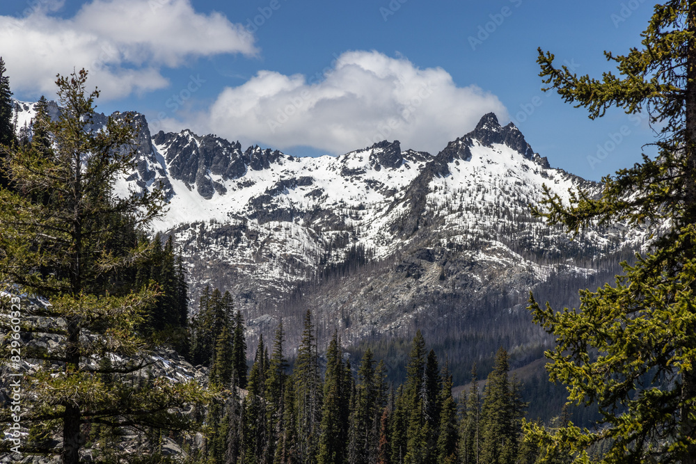 Fototapeta premium mountains in the spring