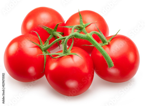 Red campari tomatoes. Tomato branch isolated on white background. Macro shot.