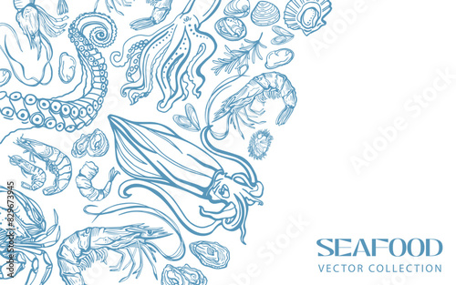 Isolated vector set of seafood. Template. Shrimps, langoustines, prawns, salmon, trout, oysters, mussels, squid, crab, lemon, octopus, rosemary, sea urchin. Hand-drawn delicacy, restaurant and marine.