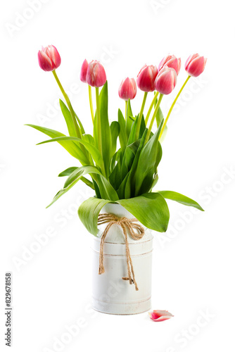 Pink tulips