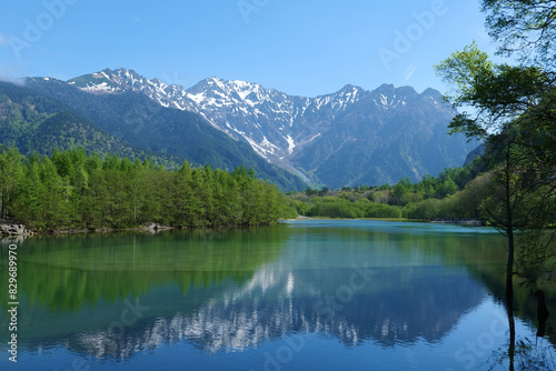 中部山岳国立公園、上高地。初夏の大正池。松本、長野、日本。5月下旬。