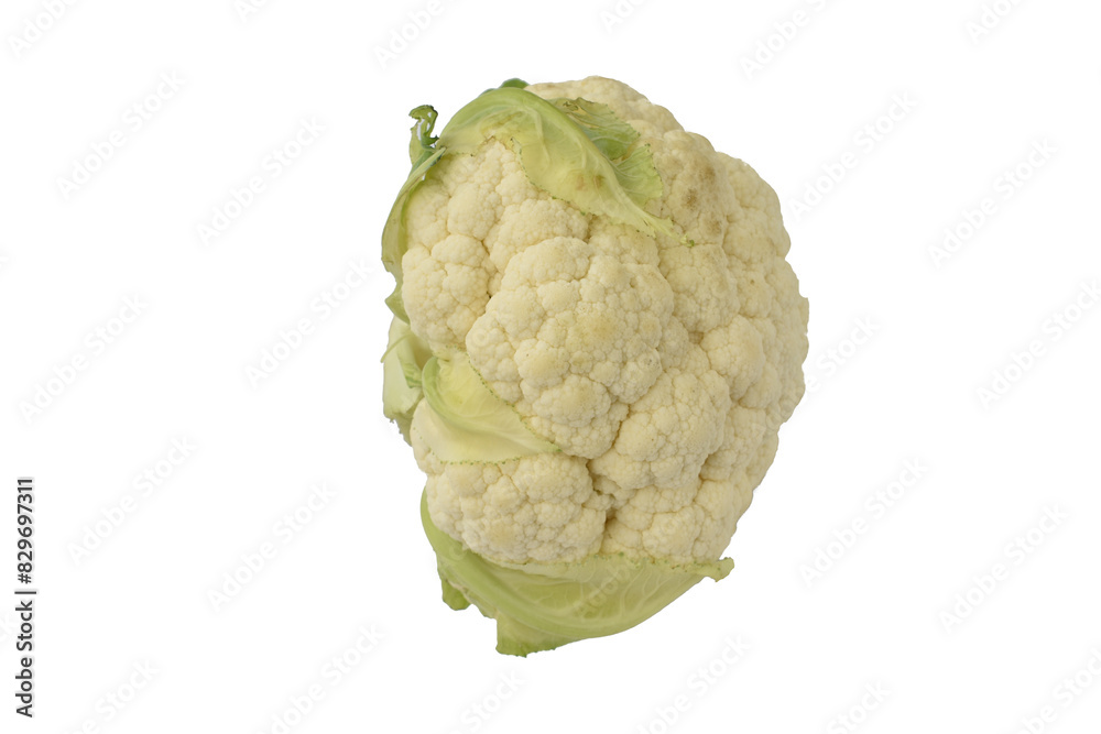 Medium sized head of cauliflower on white. Medium sized head of cauliflower on white.