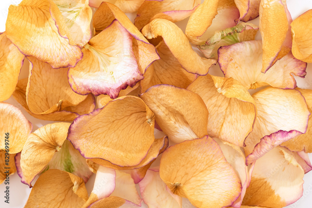 Yellow dry rose petals as a background, top view Yellow dry rose petals as a background, top view