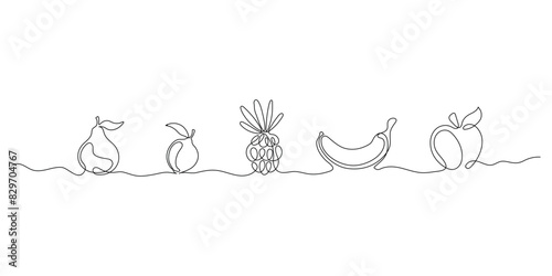 Line fruits on a white background. Continuous line echo pineapple banana, citrus fruit, pear and graphe, trends monoline healtii food. Vector fruits isolated set