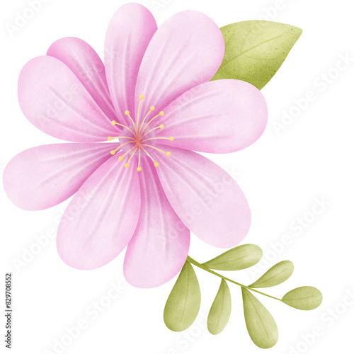 purple flower
