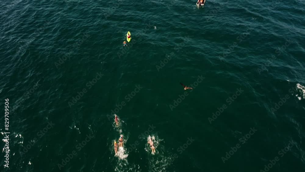 Group of open sea swimmer on Caribbean Sea in summer. Training for Triathlon. Aerial top down.