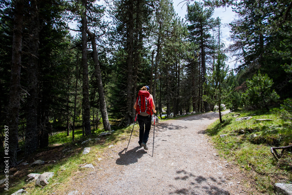 Obraz premium Young hiker woman in Vall de Boi, Aiguestortes and Sant Maurici National Park, Spain