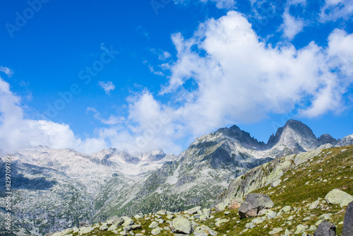 Summer landscape in Vall de Boi in Aiguestortes and Sant Maurici National Park, Spain