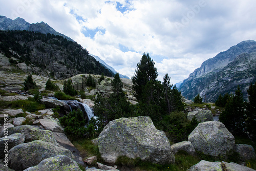 Summer landscape in Vall de Boi in Aiguestortes and Sant Maurici National Park  Spain