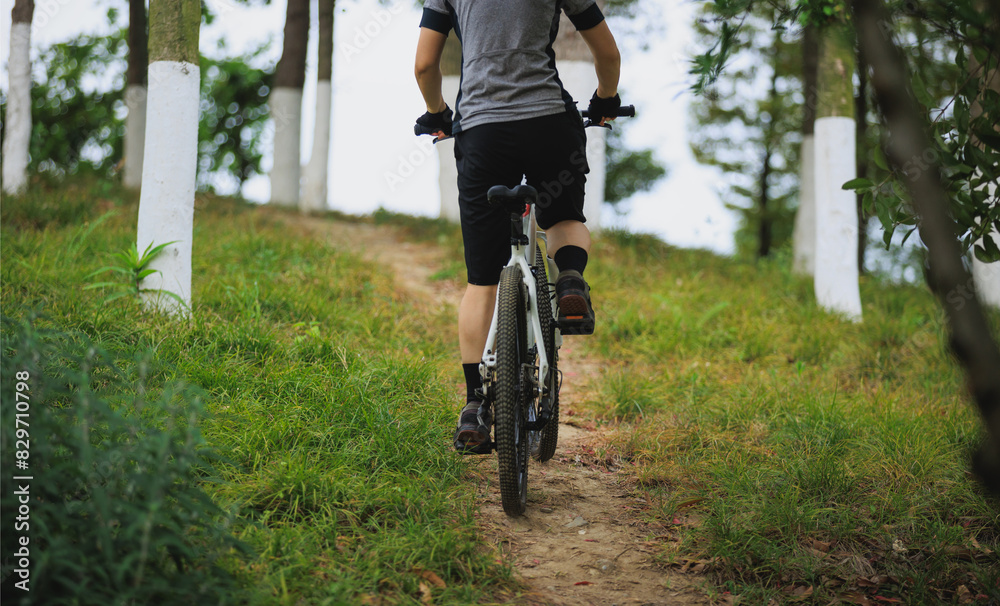 Naklejka premium Woman mountain biking on mountain trail