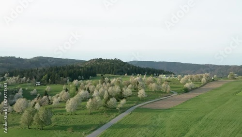 Aerial drone video showcases lush, hilly landscape near Hrinova, Slovakia, alive with vibrant spring colors. Blooming pear trees add to the picturesque scenery, brimming with greenery. LuPa Creative photo