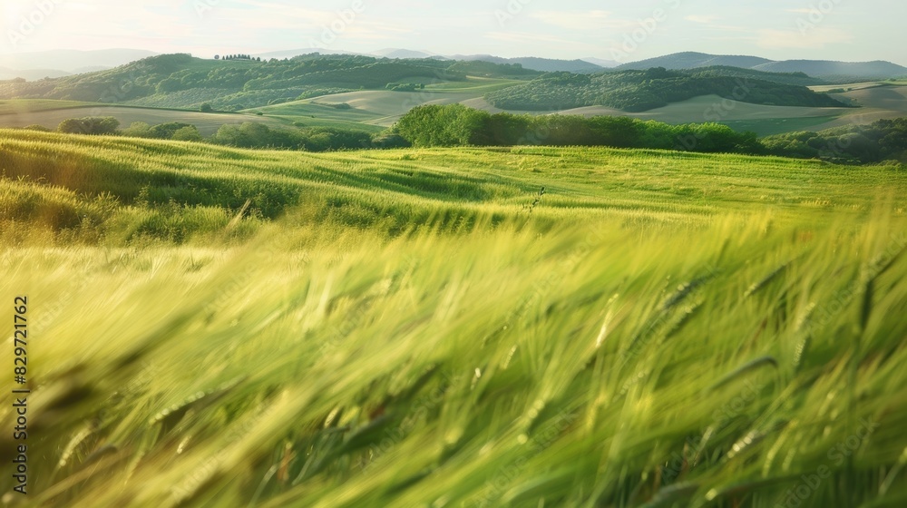 Obraz premium A dreamy landscape with rolling hills and fields where gravity waves seem to sway the tall grass.