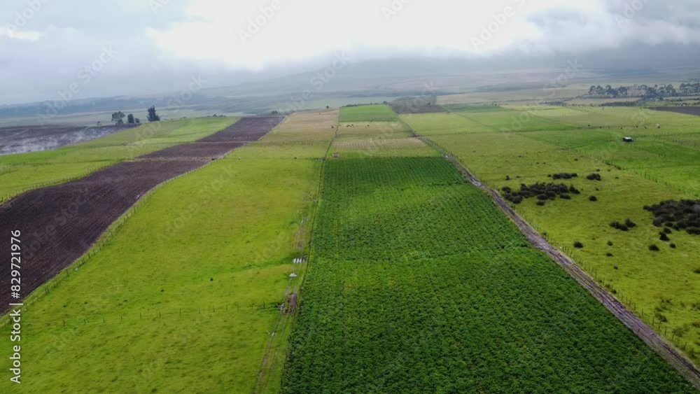 Aerial Drone Panning Over Agricultural Land, El Pedregal neighborhood, Cantón Mejía, Province of Pichincha, Ecuador Aerial Drone Panning Over Agricultural Land, El Pedregal neighborhood, Cantón Mejía, Province of Pichincha, Ecuador