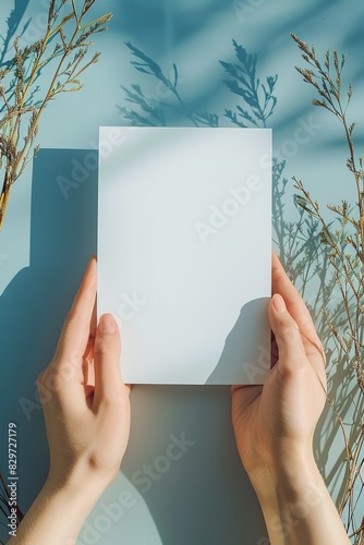 Hands hold a blank card with plant shadows and sunlight on a blue background.