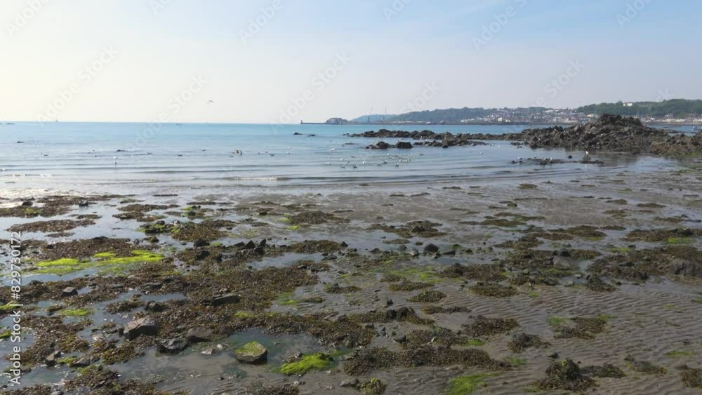 Very low drone flight over waterline of beach Belle Greve Bay Guernsey with rippling waves, rocks and sea birds and St Peter Port in the distance Very low drone flight over waterline of beach Belle Greve Bay Guernsey with rippling waves, rocks and sea birds and St Peter Port in the distance