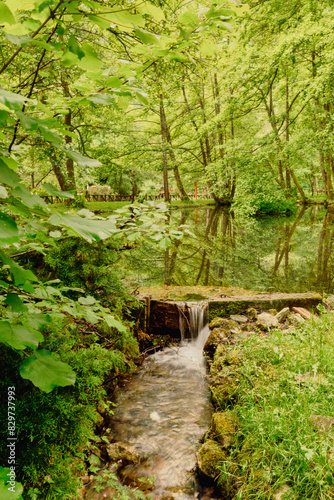 Water flowing near a bridge and trees.