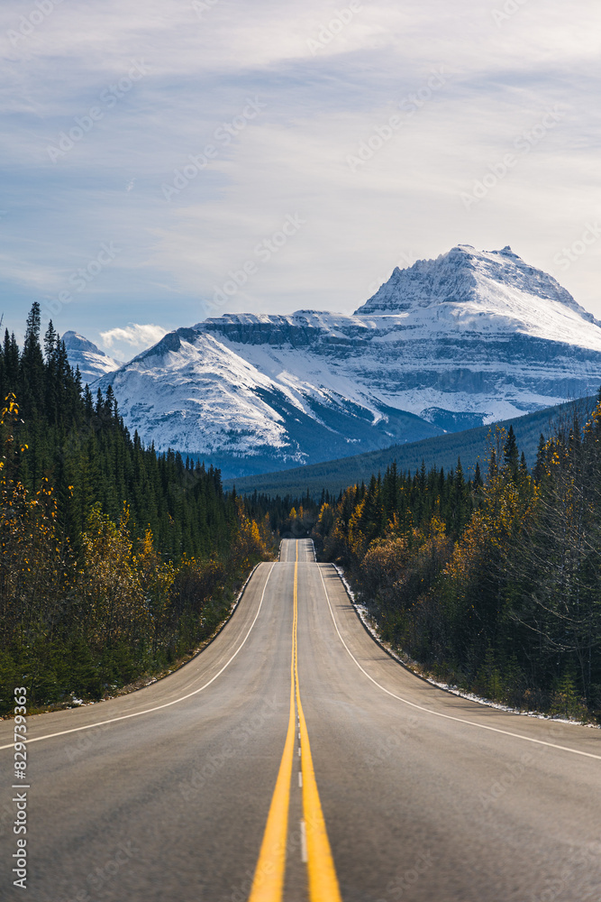 Scenic view of a road winding through snowy mountain forest Scenic view of a road winding through snowy mountain forest