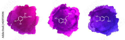 Neurotransmitters vector illustration on watercolor background