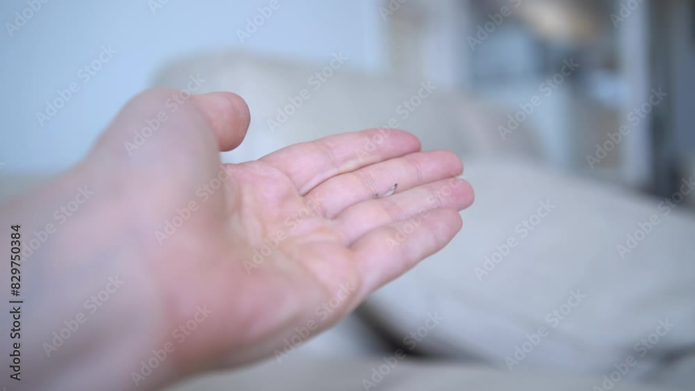 A woman holding a cat's claw that was found in the house A woman holding a cat's claw that was found in the house