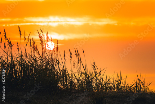 Fototapeta Naklejka Na Ścianę i Meble -  Scenic view of golden hour on the Baltic Sea in Germany