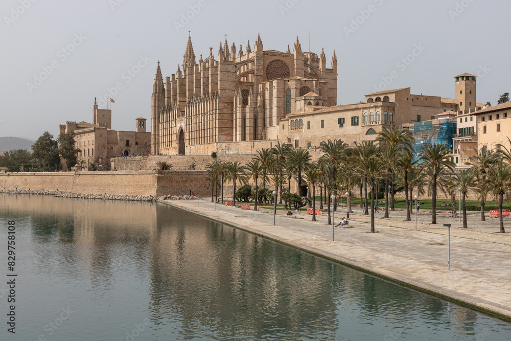 Large cathedral by water with palm trees nearby Large cathedral by water with palm trees nearby