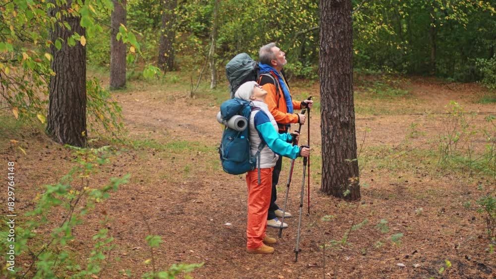 Hiking tourism adventure. Senior couple man woman enjoying outdoor recreation hiking in forest. Happy old people backpackers hikers enjoy walking hike trekking tourism active vacation beauty of nature Hiking tourism adventure. Senior couple man woman enjoying outdoor recreation hiking in forest. Happy old people backpackers hikers enjoy walking hike trekking tourism active vacation beauty of nature