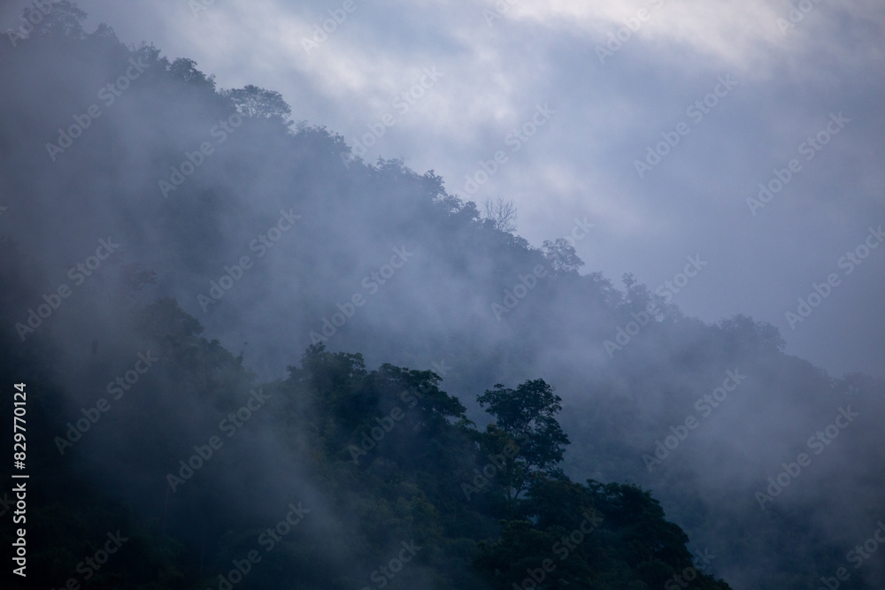 The background texture of mountains in the rainy season and the icy rain fog feels cool and refreshing with the green color of the forest that is cool and pleasing to the eye. The background texture of mountains in the rainy season and the icy rain fog feels cool and refreshing with the green color of the forest that is cool and pleasing to the eye.