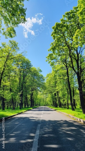 a scenic park, verdant green grass and towering trees frame a clear blue sky, while an asphalt road stretches into the distance, presenting a tranquil nature landscape perfect.