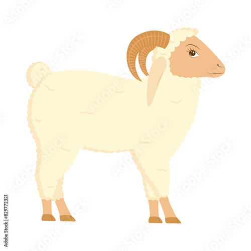 Vector illustration of sheep on transparent background