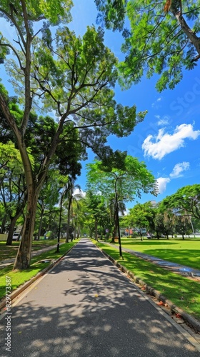 a scenic park, verdant green grass and towering trees frame a clear blue sky, while an asphalt road stretches into the distance, presenting a tranquil nature landscape perfect.