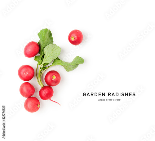 Delicious red radish and leaf composition isolated on white background. © ifiStudio