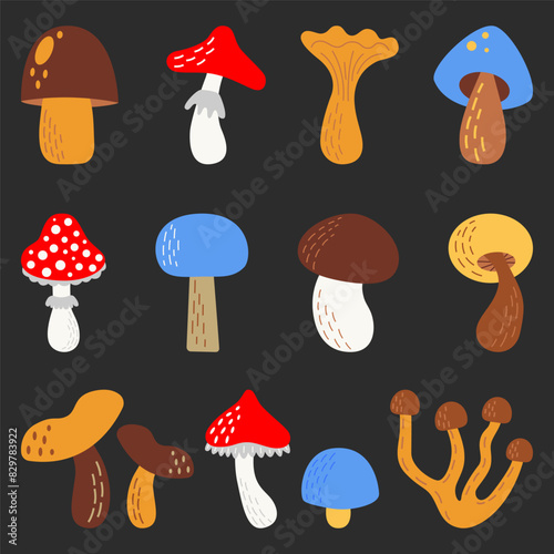 Set of different types of mushrooms. White mushroom, chanterelles, agarics, white mushroom, honeydew. Collection of food ingredients. Flat vector illustration isolated on dark background