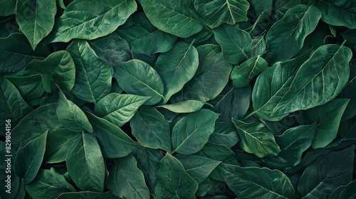 surface made of leaves, with its delicate veins and vibrant green color