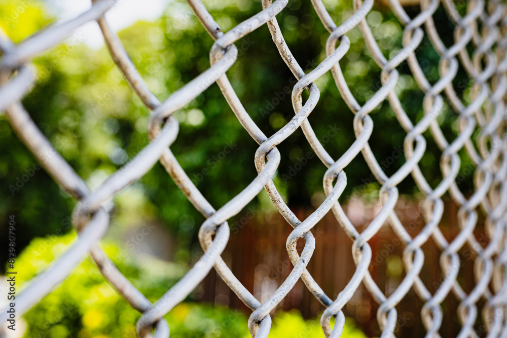 Steel Wire Mesh Fence Steel Wire Mesh Fence