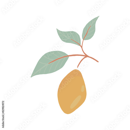 Vibrant Mango Illustration With Leaves on a White Background in Daylight
