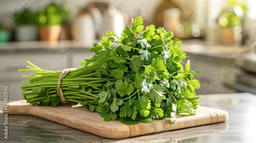 Fresh Coriander on a Stylish Kitchen Counter A Vibrant Ode to Culinary Delights photo