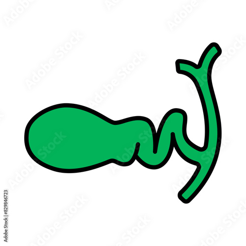 Gallbladder set icon. Bile storage, gallbladder structure, biliary system, digestive organ, liver connection, digestive health, medical illustration.