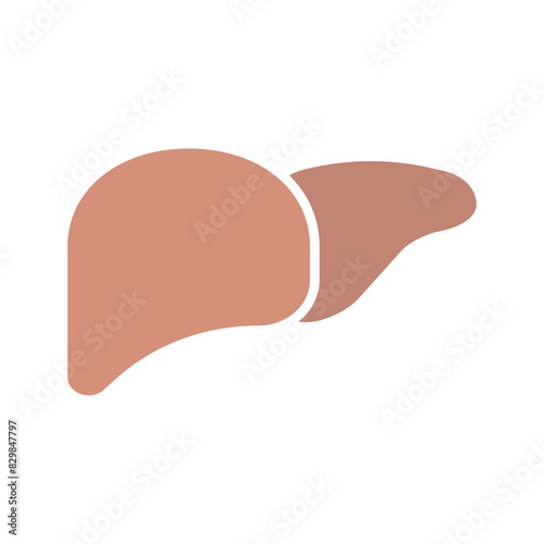 Liver set icon. Human organ, anatomy, hepatic function, detoxification, bile production, metabolic processes, digestive system, health, medical.