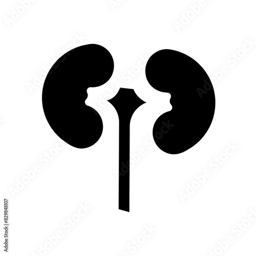Kidneys set icon. Kidneys, urinary system, renal function, nephrology, human anatomy, filtration, excretion, organ health, urine production.