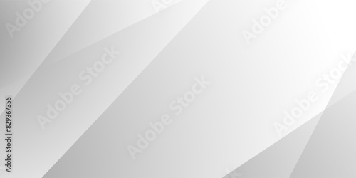Abstract white and gray shape background. texture white pattern. vector illustration	