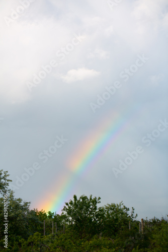 Rainbow on a background of blue sky and green trees