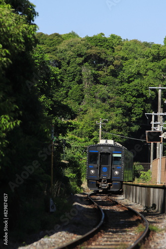 長崎本線旧線を走行する新型YC1系気動車_2024/5/19撮影 photo