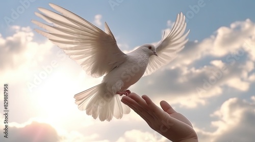 children hands carefully holding and releasing white dove. peace concept