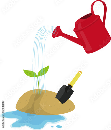 watering can and plant