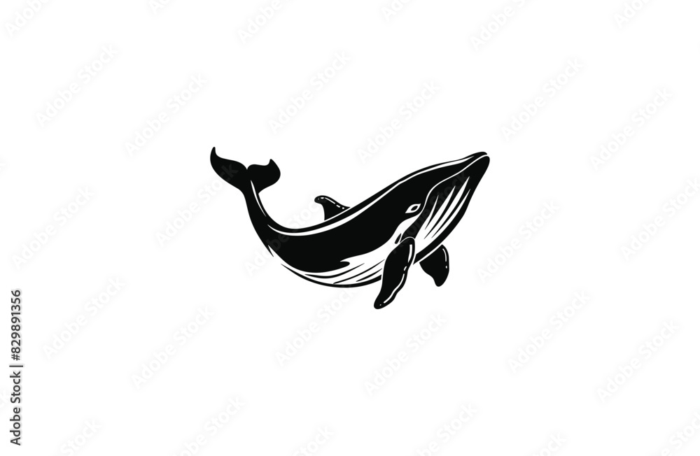 Whale logo icon design template vector illustration Whale logo icon design template vector illustration