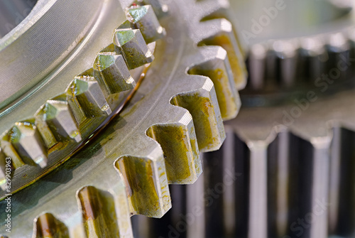 Group of pinions coated with lubricant