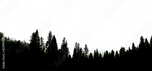 Fototapeta Naklejka Na Ścianę i Meble -  A nighttime silhouetted evergreen forest with green aurora along the horizon. The sky is transparent except where stars are shining.  
