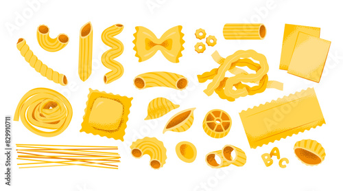 Various types of pasta set. Italian healthy cuisine. Different kind of classic pasta. 
