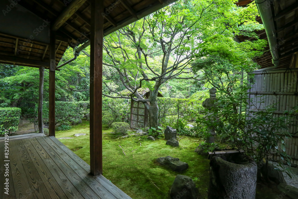 妙心寺塔頭桂春院の境内風景 妙心寺塔頭桂春院の境内風景